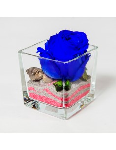 Blue stabilized rose