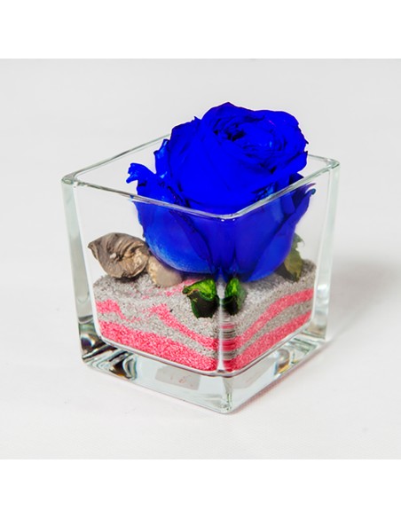 Rosa stabilizzata blu