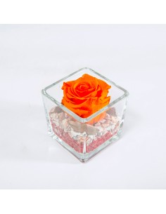 Rosa stabilizzata arancio