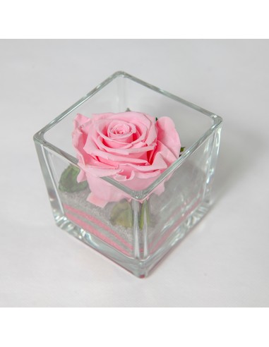 Pink stabilized rose