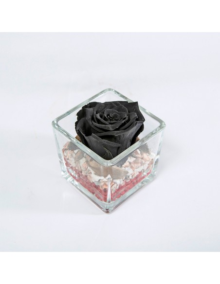 Rosa stabilizzata nera