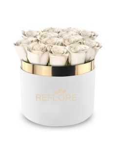 Box cilindro bianco con rose bianche stabilizzate