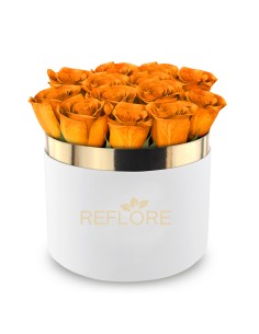 Box cilindro bianco con rose arancio stabilizzate